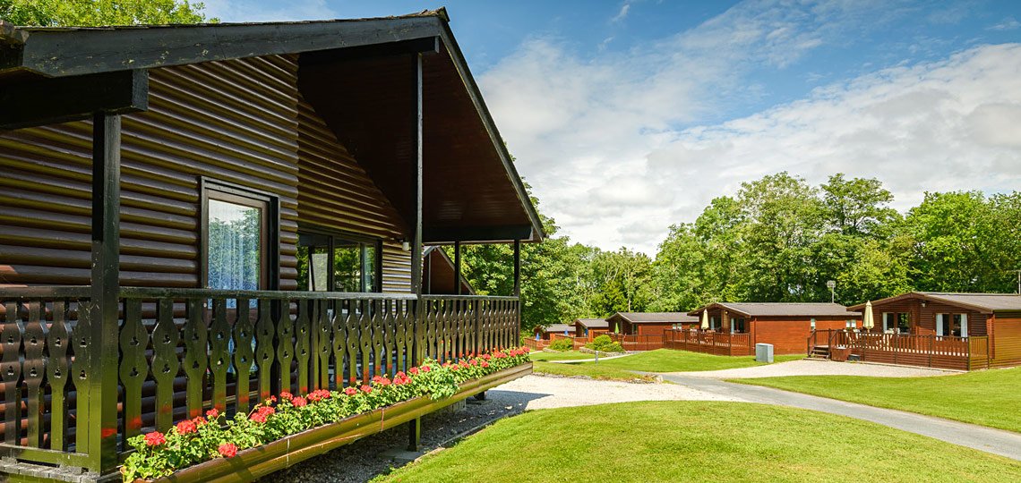 Five log cabins in woodlands