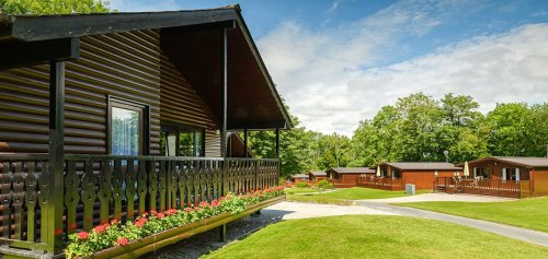 Five log cabins in woodlands